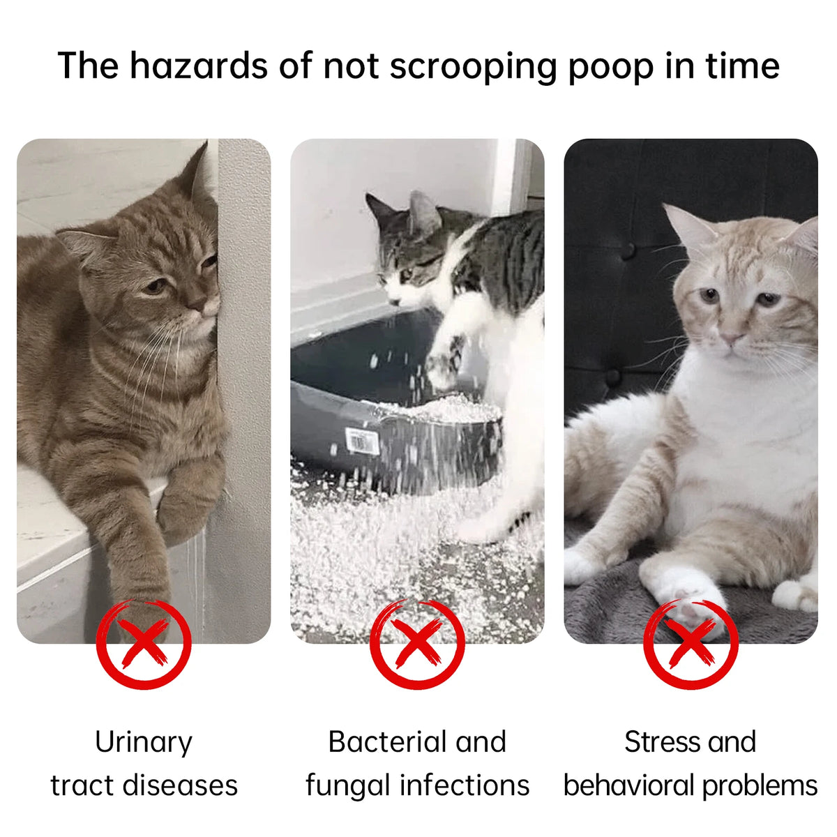 Smart Automatic Flat-Style Litter Box