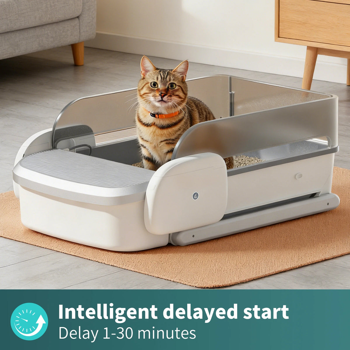 Smart Automatic Flat-Style Litter Box